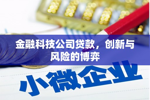 贡寮金融科技公司贷款，创新与风险的博弈