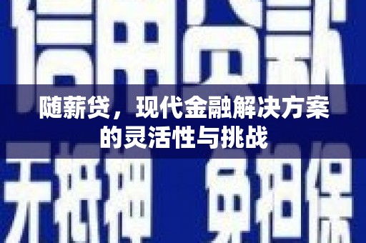 贡寮随薪贷，现代金融解决方案的灵活性与挑战