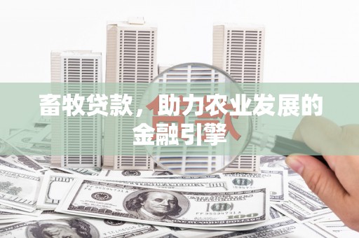 贡寮畜牧贷款，助力农业发展的金融引擎