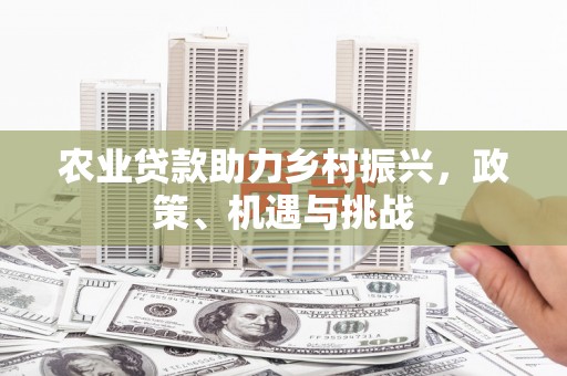 贡寮农业贷款助力乡村振兴，政策、机遇与挑战
