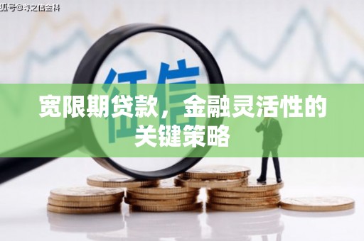 贡寮宽限期贷款，金融灵活性的关键策略