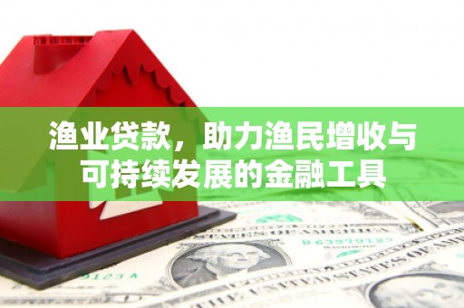 贡寮渔业贷款，助力渔民增收与可持续发展的金融工具
