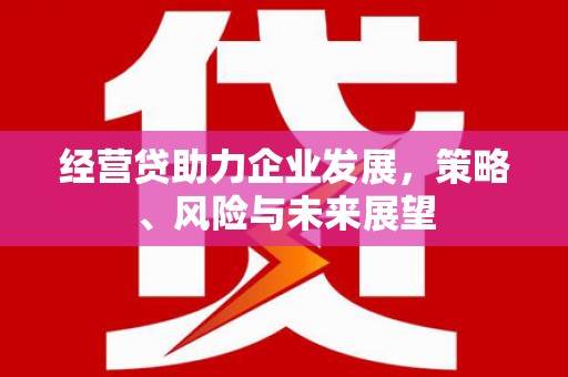 贡寮经营贷助力企业发展，策略、风险与未来展望