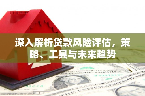 贡寮深入解析贷款风险评估，策略、工具与未来趋势