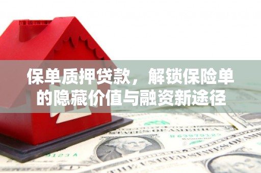 贡寮保单质押贷款，解锁保险单的隐藏价值与融资新途径
