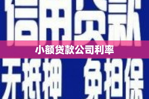 贡寮小额贷款公司利率