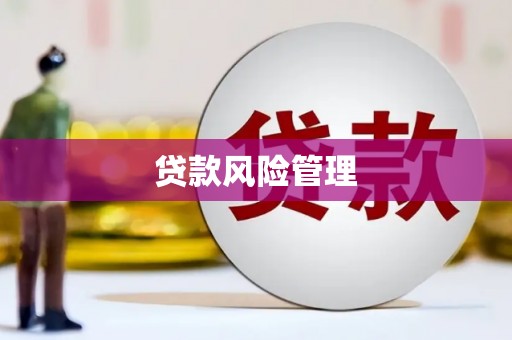 贡寮贷款风险管理
