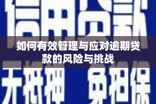 贡寮如何有效管理与应对逾期贷款的风险与挑战