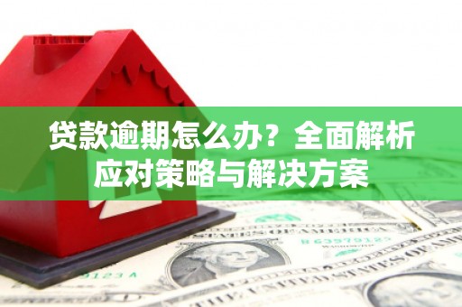 贡寮贷款逾期怎么办？全面解析应对策略与解决方案