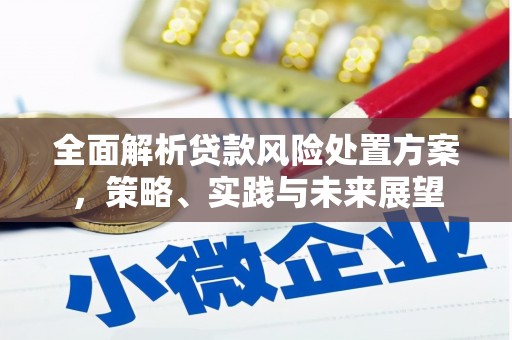 贡寮全面解析贷款风险处置方案，策略、实践与未来展望