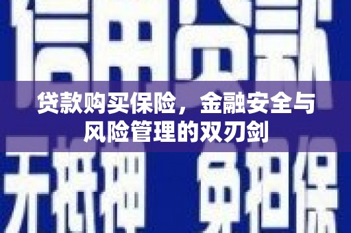 贡寮贷款购买保险，金融安全与风险管理的双刃剑
