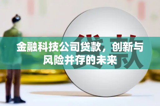 贡寮金融科技公司贷款，创新与风险并存的未来