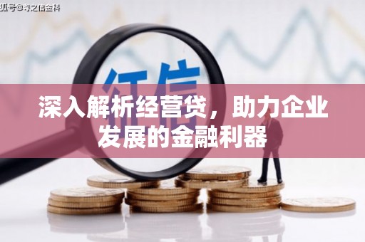 贡寮深入解析经营贷，助力企业发展的金融利器