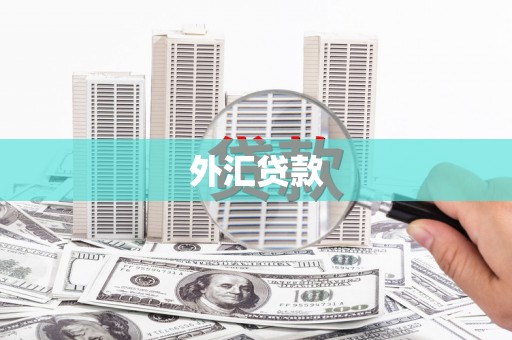 贡寮外汇贷款