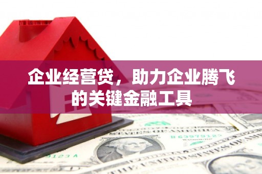 贡寮企业经营贷，助力企业腾飞的关键金融工具