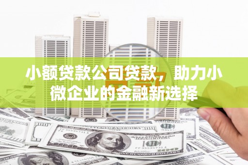 贡寮小额贷款公司贷款，助力小微企业的金融新选择