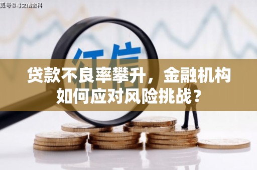 贡寮贷款不良率攀升，金融机构如何应对风险挑战？