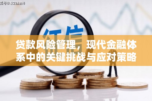 贡寮贷款风险管理，现代金融体系中的关键挑战与应对策略