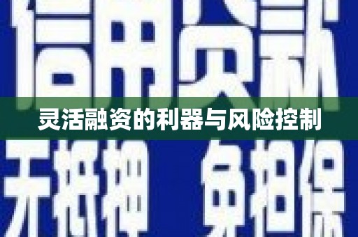 贡寮灵活融资的利器与风险控制