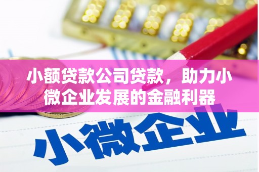 贡寮小额贷款公司贷款，助力小微企业发展的金融利器