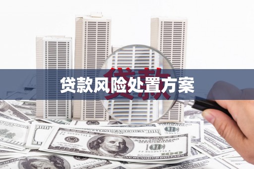 贡寮贷款风险处置方案