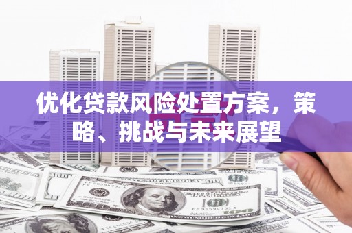 贡寮优化贷款风险处置方案，策略、挑战与未来展望