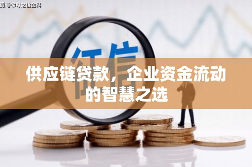 贡寮供应链贷款，企业资金流动的智慧之选