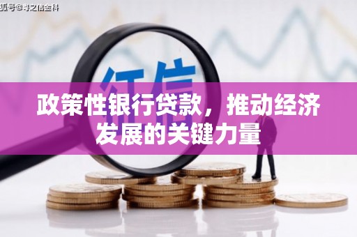 贡寮政策性银行贷款，推动经济发展的关键力量