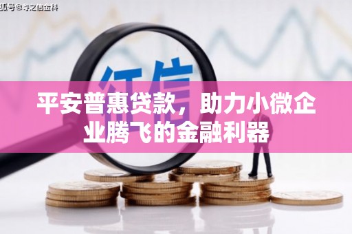 贡寮平安普惠贷款，助力小微企业腾飞的金融利器