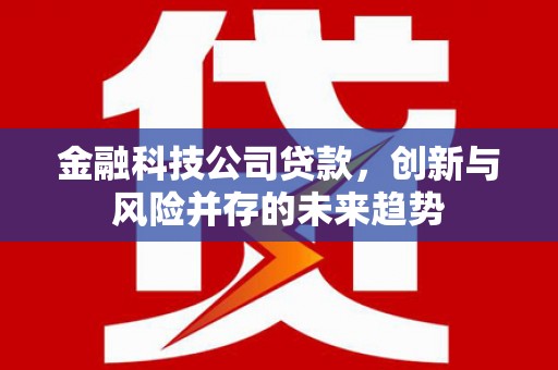 贡寮金融科技公司贷款，创新与风险并存的未来趋势