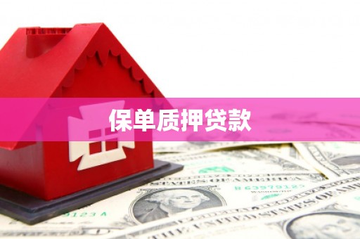 贡寮保单质押贷款