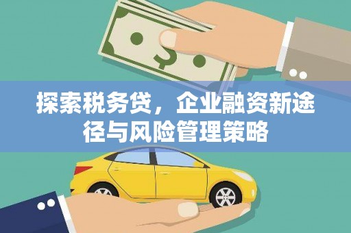贡寮探索税务贷，企业融资新途径与风险管理策略
