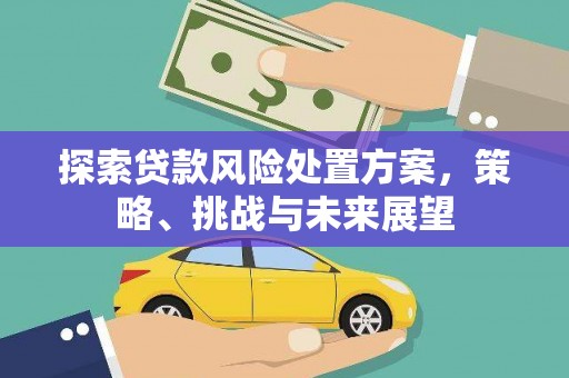 贡寮探索贷款风险处置方案，策略、挑战与未来展望