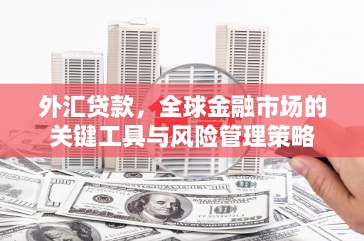 贡寮外汇贷款，全球金融市场的关键工具与风险管理策略