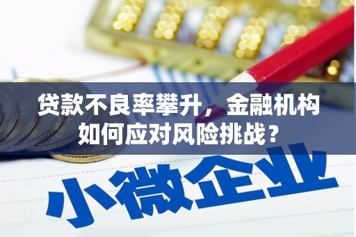贡寮贷款不良率攀升，金融机构如何应对风险挑战？