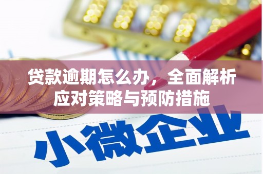 贡寮贷款逾期怎么办，全面解析应对策略与预防措施