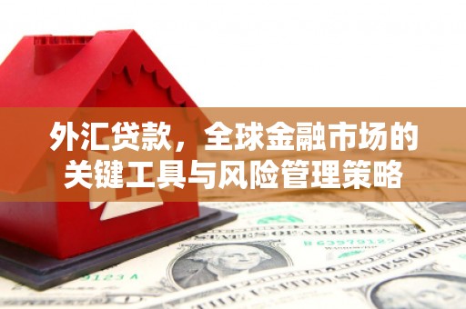 贡寮外汇贷款，全球金融市场的关键工具与风险管理策略