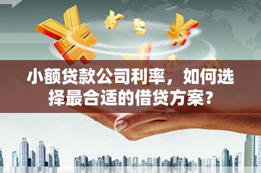 贡寮小额贷款公司利率，如何选择最合适的借贷方案？