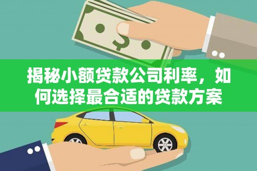 贡寮揭秘小额贷款公司利率，如何选择最合适的贷款方案