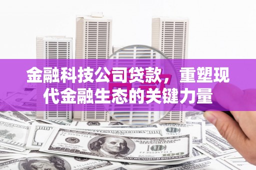 贡寮金融科技公司贷款，重塑现代金融生态的关键力量