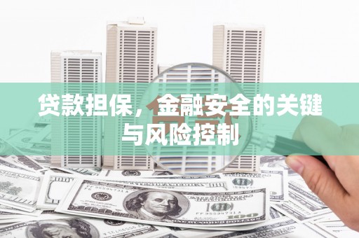 贡寮贷款担保，金融安全的关键与风险控制
