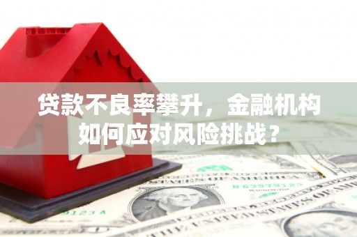 贡寮贷款不良率攀升，金融机构如何应对风险挑战？