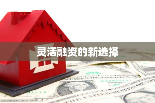 贡寮灵活融资的新选择