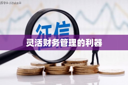 贡寮灵活财务管理的利器