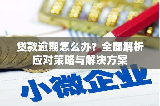 贡寮贷款逾期怎么办？全面解析应对策略与解决方案