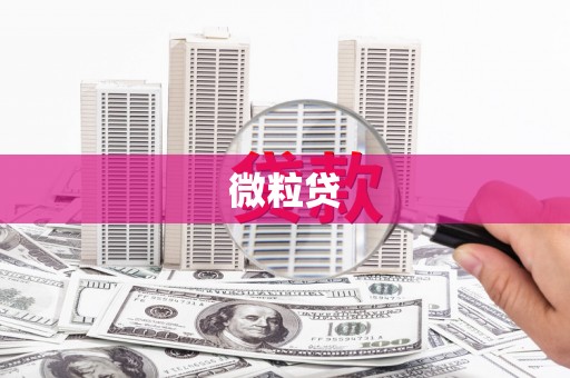 贡寮微粒贷