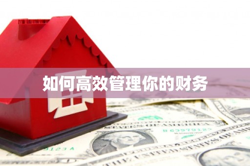 贡寮如何高效管理你的财务