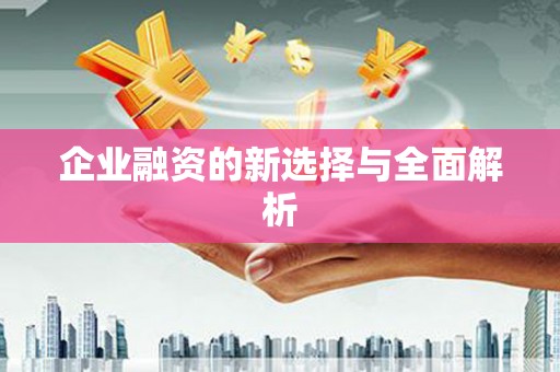 贡寮企业融资的新选择与全面解析