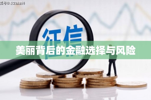 贡寮美丽背后的金融选择与风险