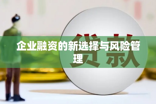 贡寮企业融资的新选择与风险管理
